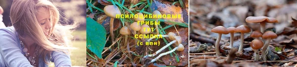 героин Алзамай