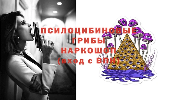 apvp Абинск
